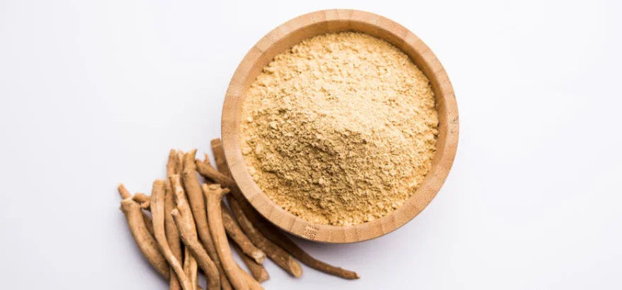 Guide to the Most Used Ayurvedic Herbs and Their Benefits