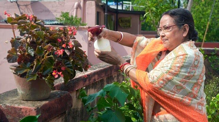 Ayurveda for Menopause: Medicines, Treatments & More