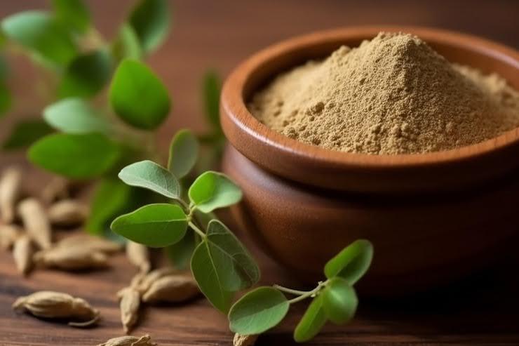 Guide to Ayurvedic Herbs (Choornam)