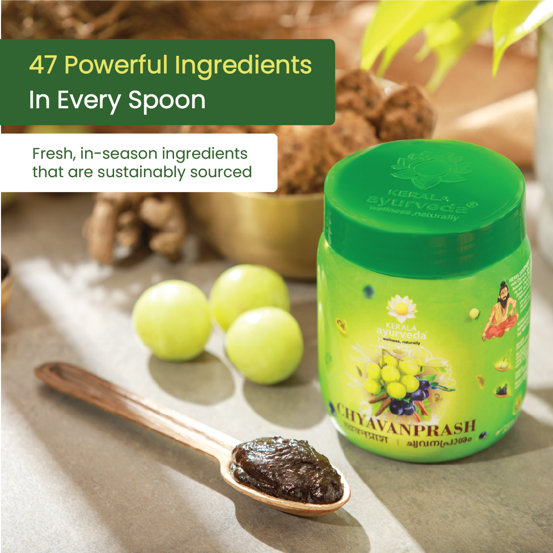 Spoonful of dark herbal paste beside Chyawanprash jar and amla fruits, claiming 47 powerful ingredients in every spoon of this herbal immunity tonic – Kerala Ayurveda India