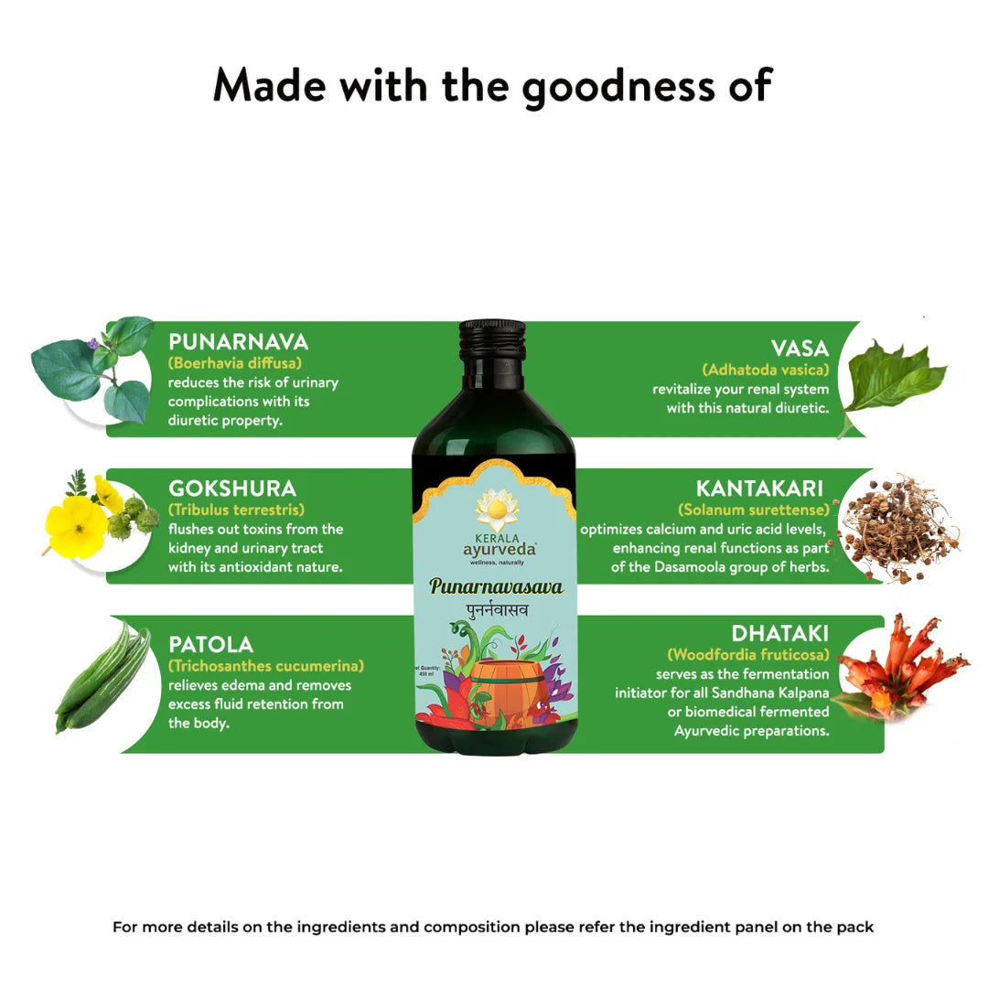 Ingredient showcase with the Punarnavasava bottle and green panels naming herbs like punarnava, gokshura, patola, vasa, kantakari, and dhataki that power this fluid-balance tonic for renal health – Kerala Ayurveda India