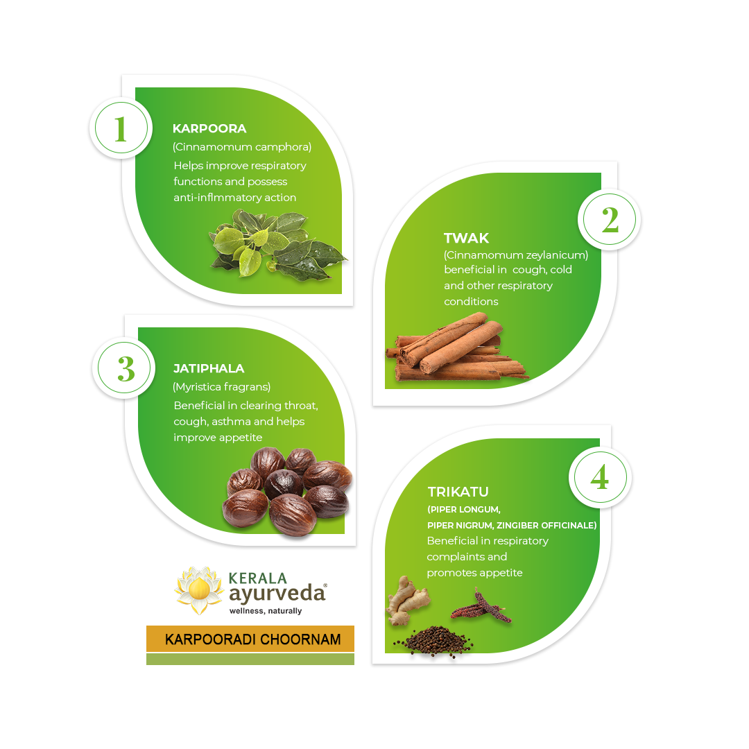 Banner illustrating key ingredients of Karpooradi Choornam: Karpoora, Twak, Jatiphala, and Trikatu, detailing their benefits for respiratory functions, cough, throat clearing, and appetite. – Kerala Ayurveda India