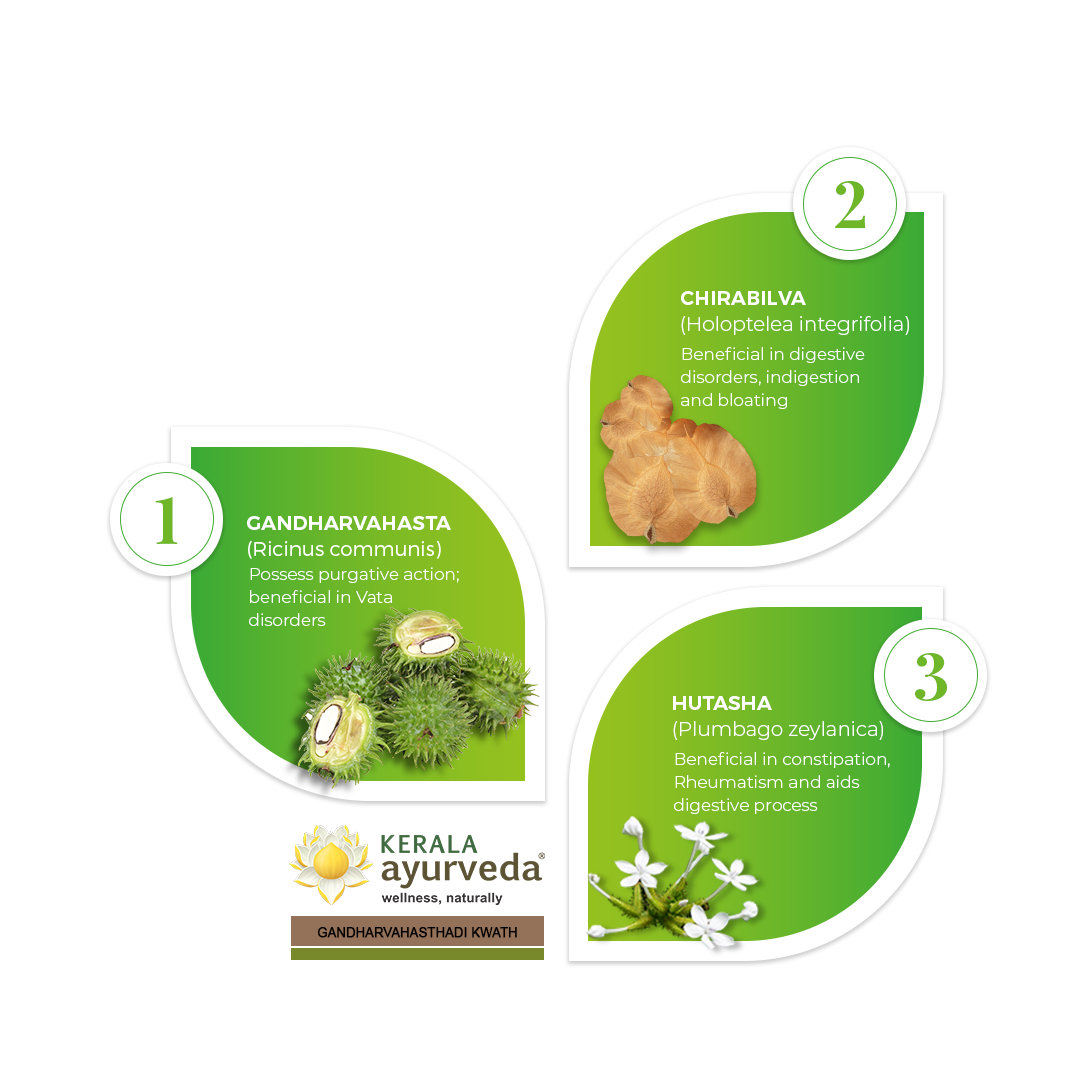 Banner illustrating key ingredients of Gandharvahasthadi Kwath: Gandharvahasta (Castor), Chirabilva, and Hutasha (Plumbago zeylanica), detailing their benefits for purgative action, Vata disorders, digestive issues, constipation, and rheumatism. – Kerala Ayurveda India
