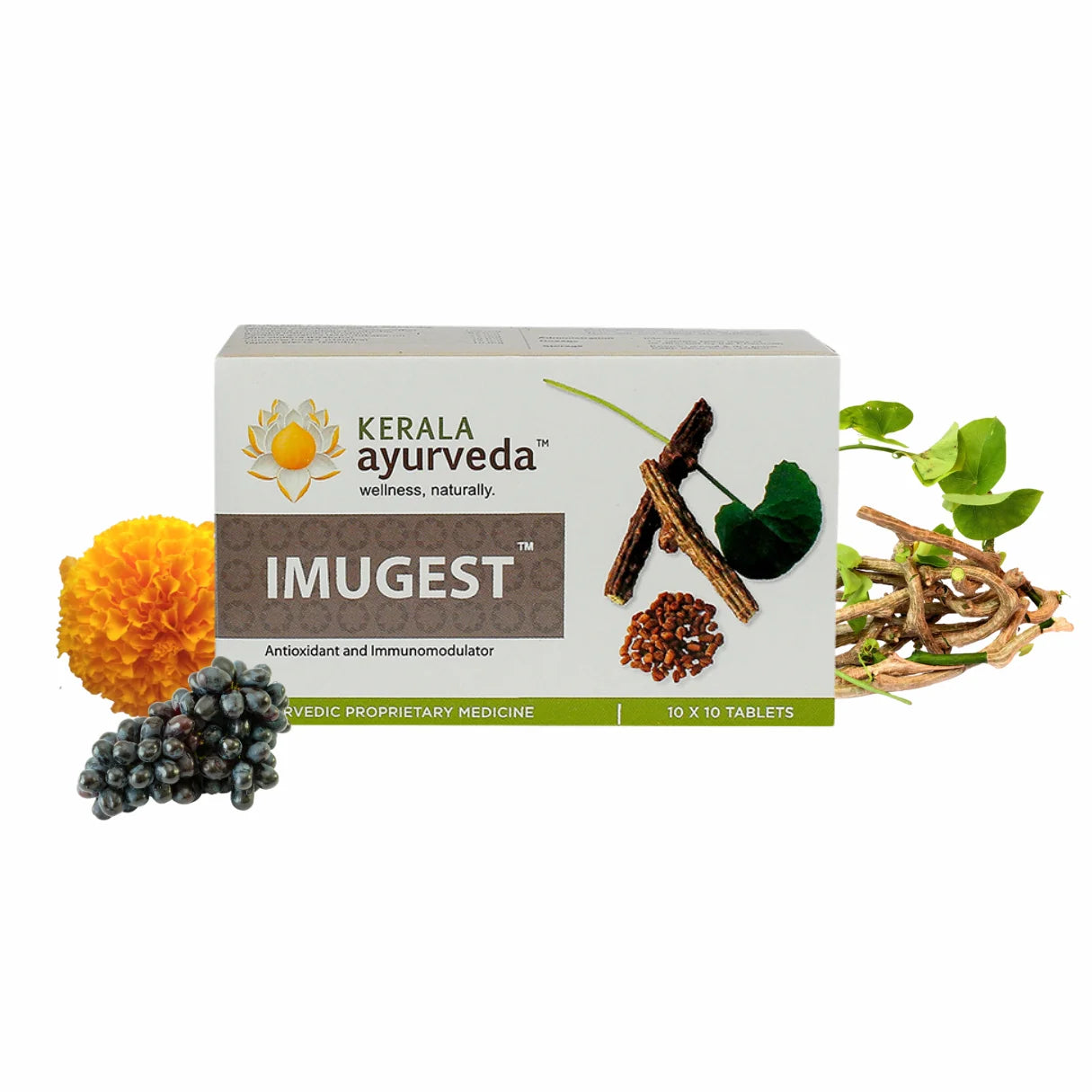 Isolated Imugest carton with surrounding key botanicals including marigold flower, Guduchi stems and berry clusters on white background – Kerala Ayurveda India
