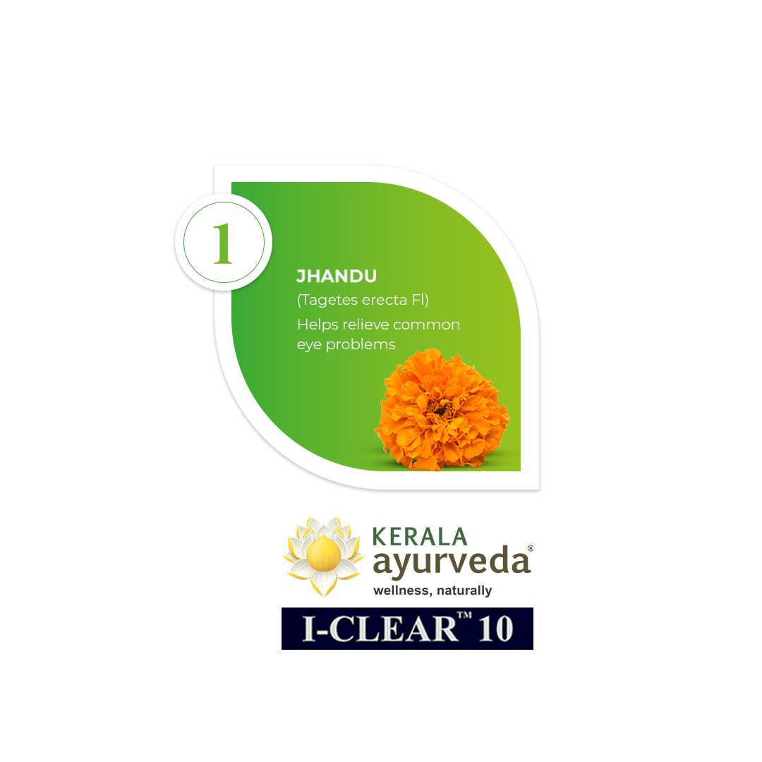 Banner illustrating a key ingredient of I-Clear 10: Jhandu (Tagetes erecta Fl), detailing its benefit in helping relieve common eye problems. – Kerala Ayurveda India