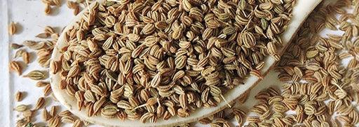 Guide to Ajwain: Benefits, Side Effects, Uses, and More!