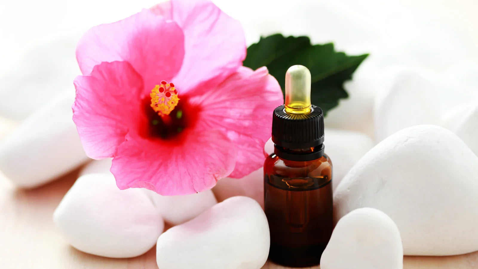 Hibiscus for Hair: Benefits, Uses & More!