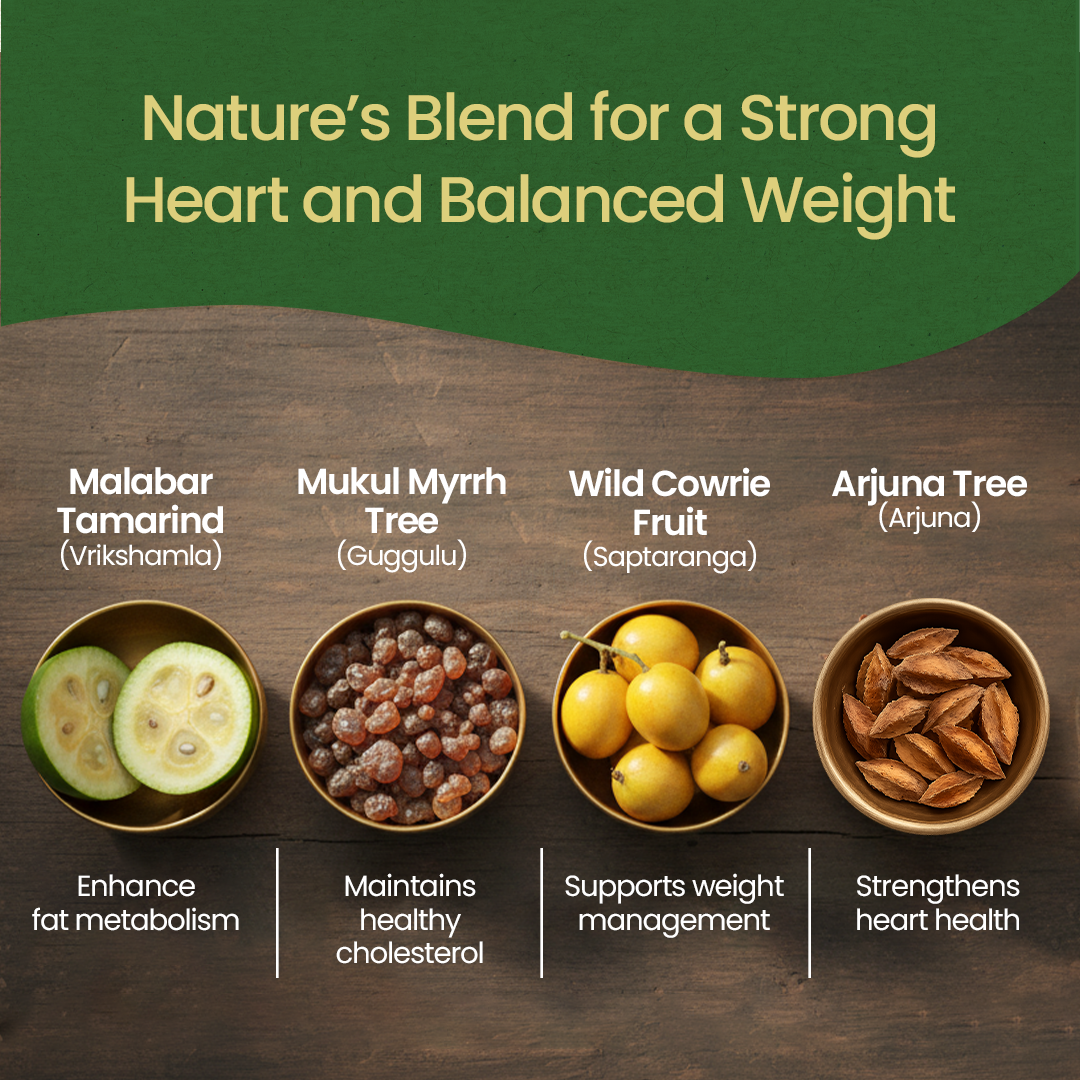 Liposem Plus Tablet (100 Nos)