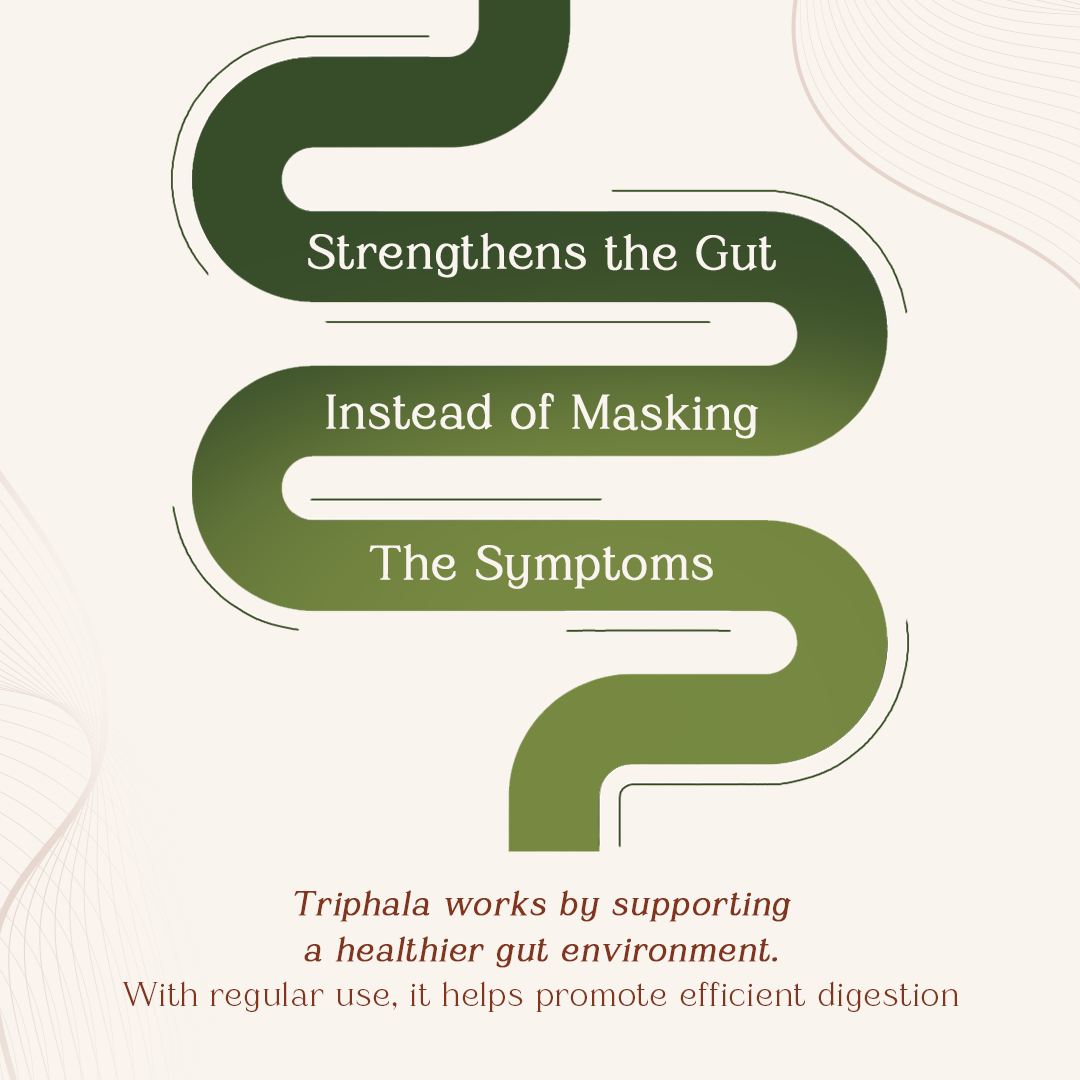 Triphala Tablets for Bowel Regularity, Gut Health & Better Digestion