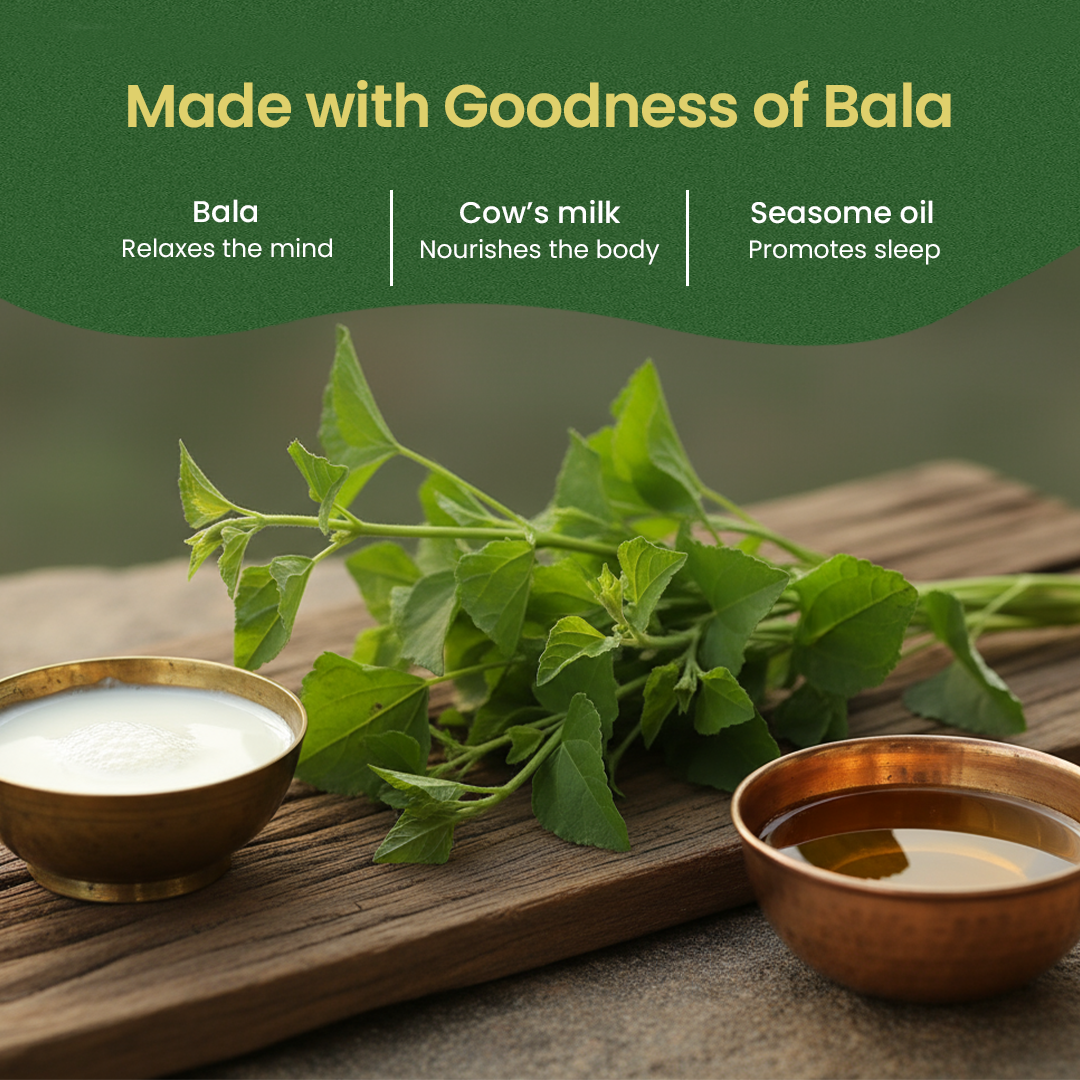 Ksheerabala Thailam (Oil)