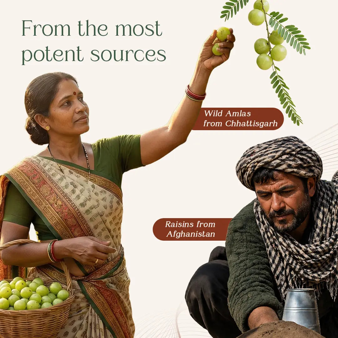 Chyavanprash with Amla for Natural Immunity Support