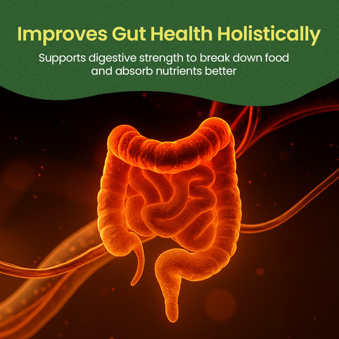 Triphala Choornam (50 Gms)