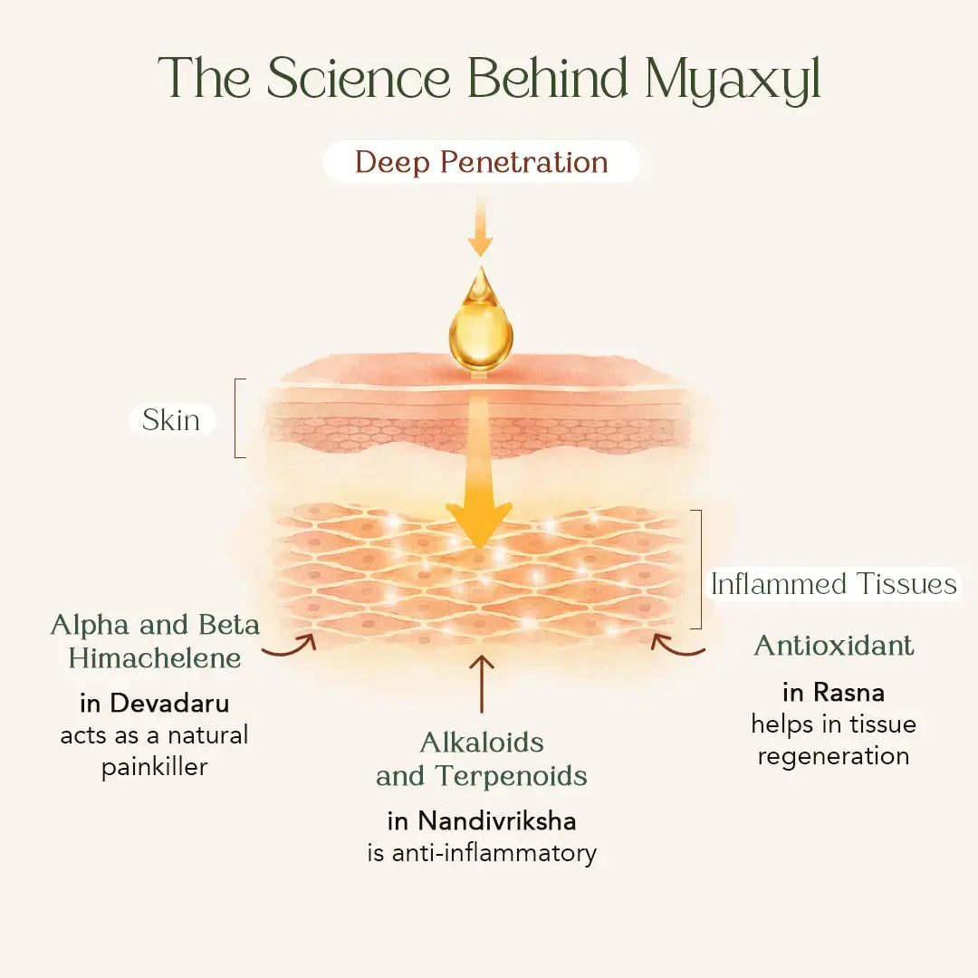 Myaxyl Pain Relief Oil | Triple Actions Pain Oil For Pain Relief & Recovery