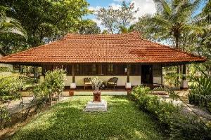 Traditional house with a red-tiled roof surrounded by greenery and tropical plants.