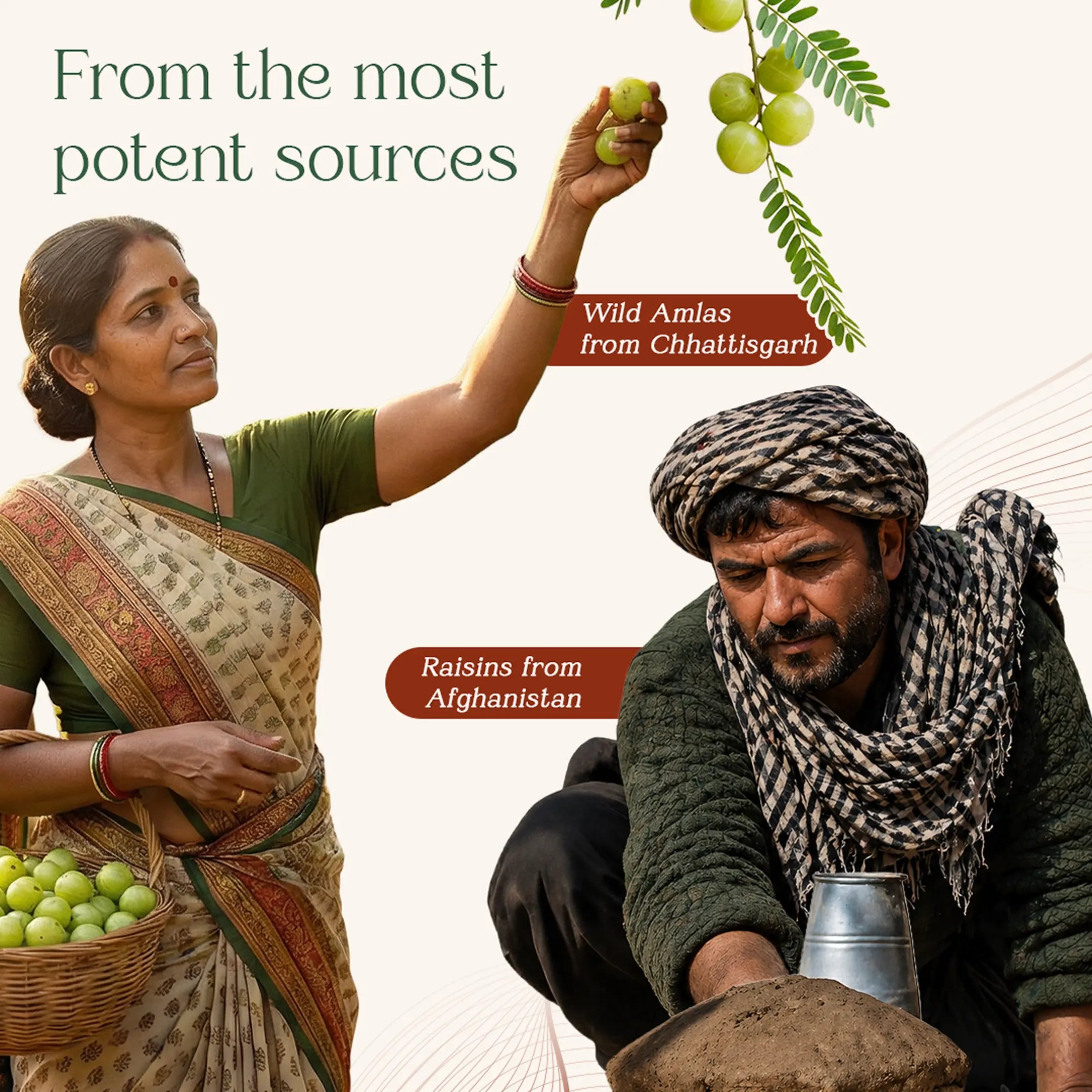 Chyavanprash with Amla for Natural Immunity Support