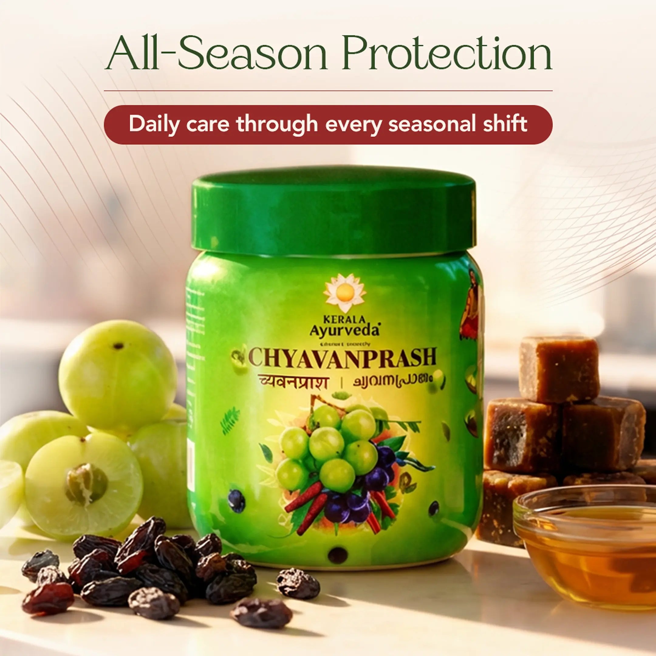 Chyavanprash with Amla for Natural Immunity Support