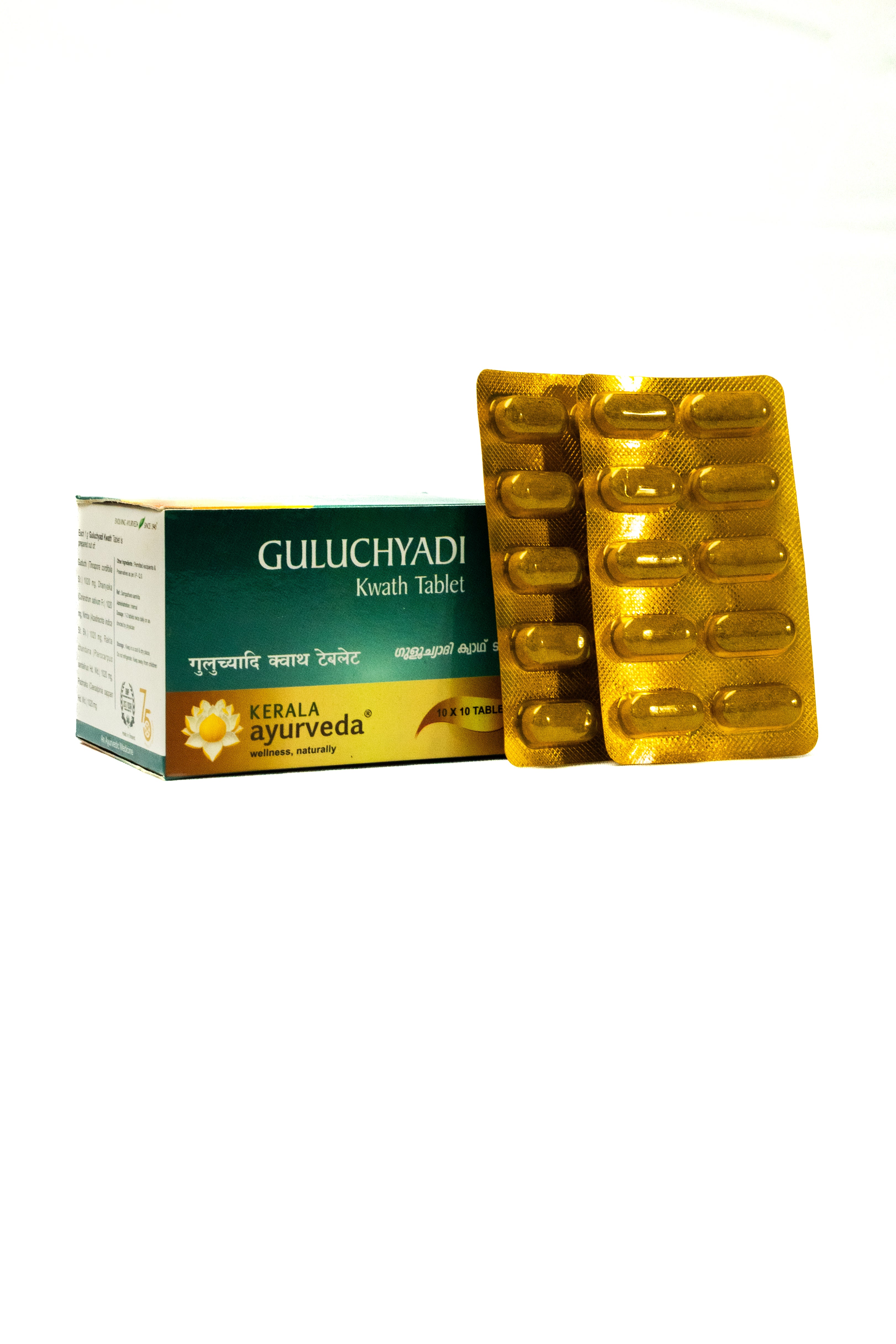 Guluchyadi Kwath Tablet (100 Nos)