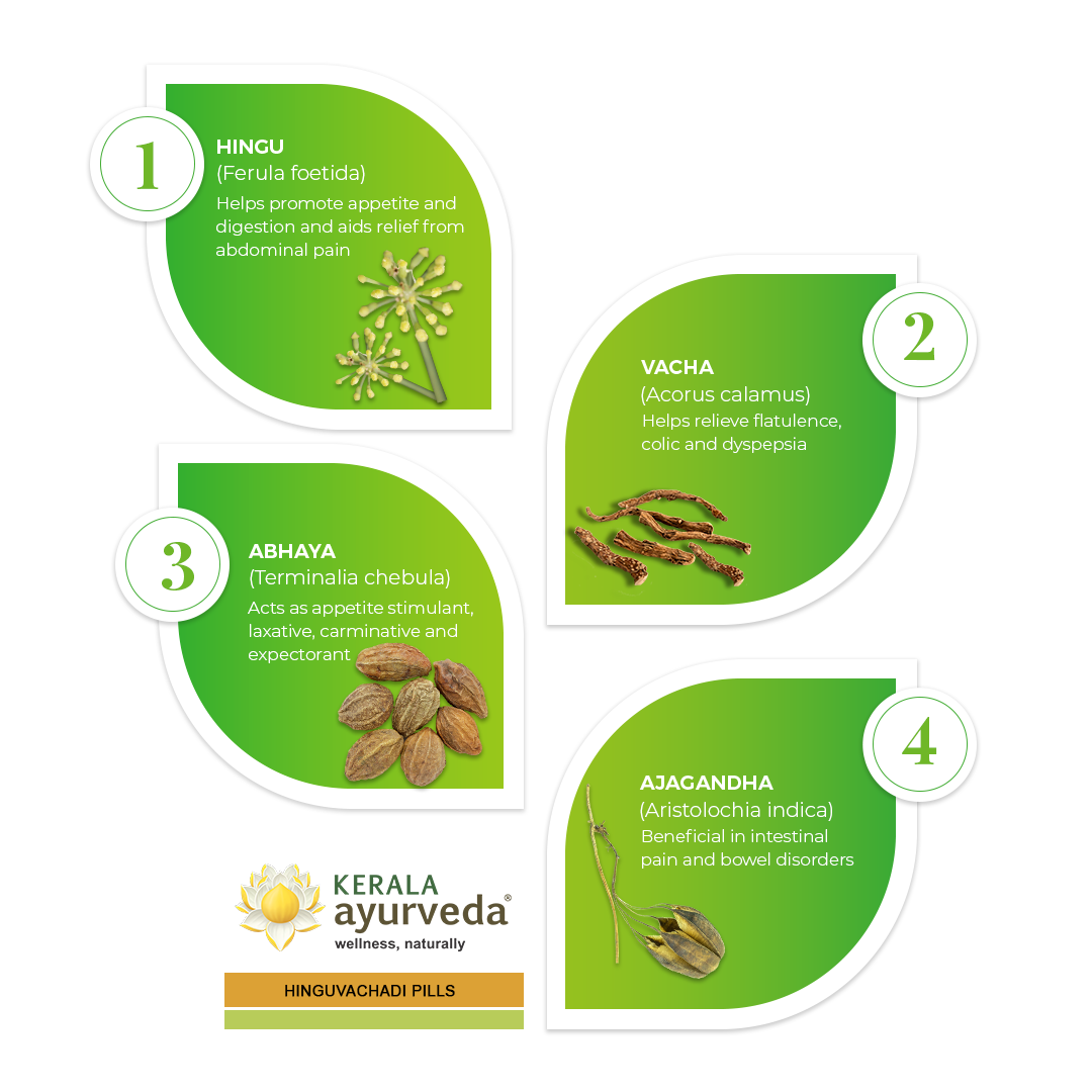 Leaf-shaped infographic highlighting four key herbs in Hingu­vachadi Pills—Hingu, Vacha, Abhaya and Ajagandha—each with a botanical image and digestive-health benefit note – Kerala Ayurveda India

