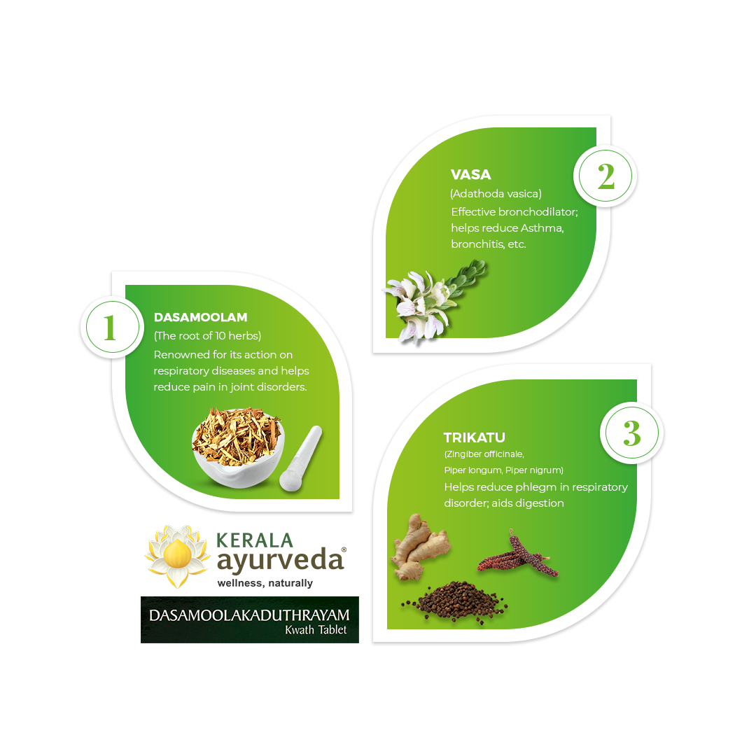 Banner illustrating key ingredients of Dasamoolakaduthrayam Kwath Tablet: Dasamoolam, Vasa, and Trikatu, detailing their benefits for respiratory diseases, joint pain, asthma, bronchitis, and digestion. – Kerala Ayurveda India