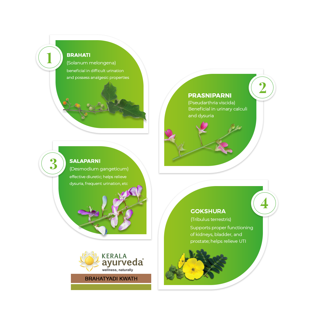 Banner illustrating key ingredients of Brahatyadi Kwath: Brahati, Prasniparni, Salaparni, and Gokshura, detailing their benefits for difficult urination, urinary calculi, dysuria, and supporting kidney, bladder, and prostate function. – Kerala Ayurveda India