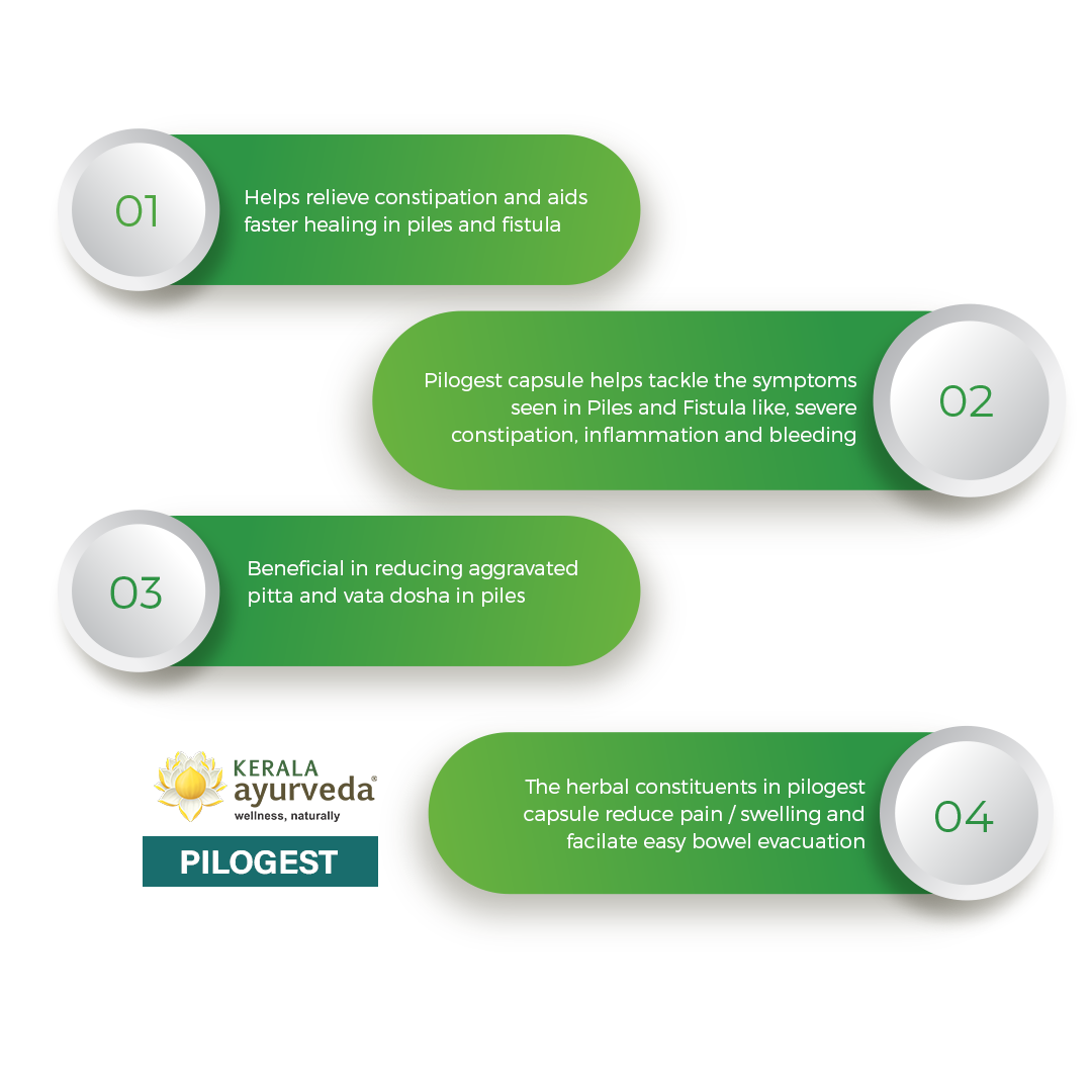 Banner outlining four key benefits of Pilogest Capsule, including relieving constipation and aiding healing in piles and fistula, tackling symptoms like inflammation and bleeding, reducing aggravated pitta and vata dosha, and facilitating easy bowel evacuation. – Kerala Ayurveda India