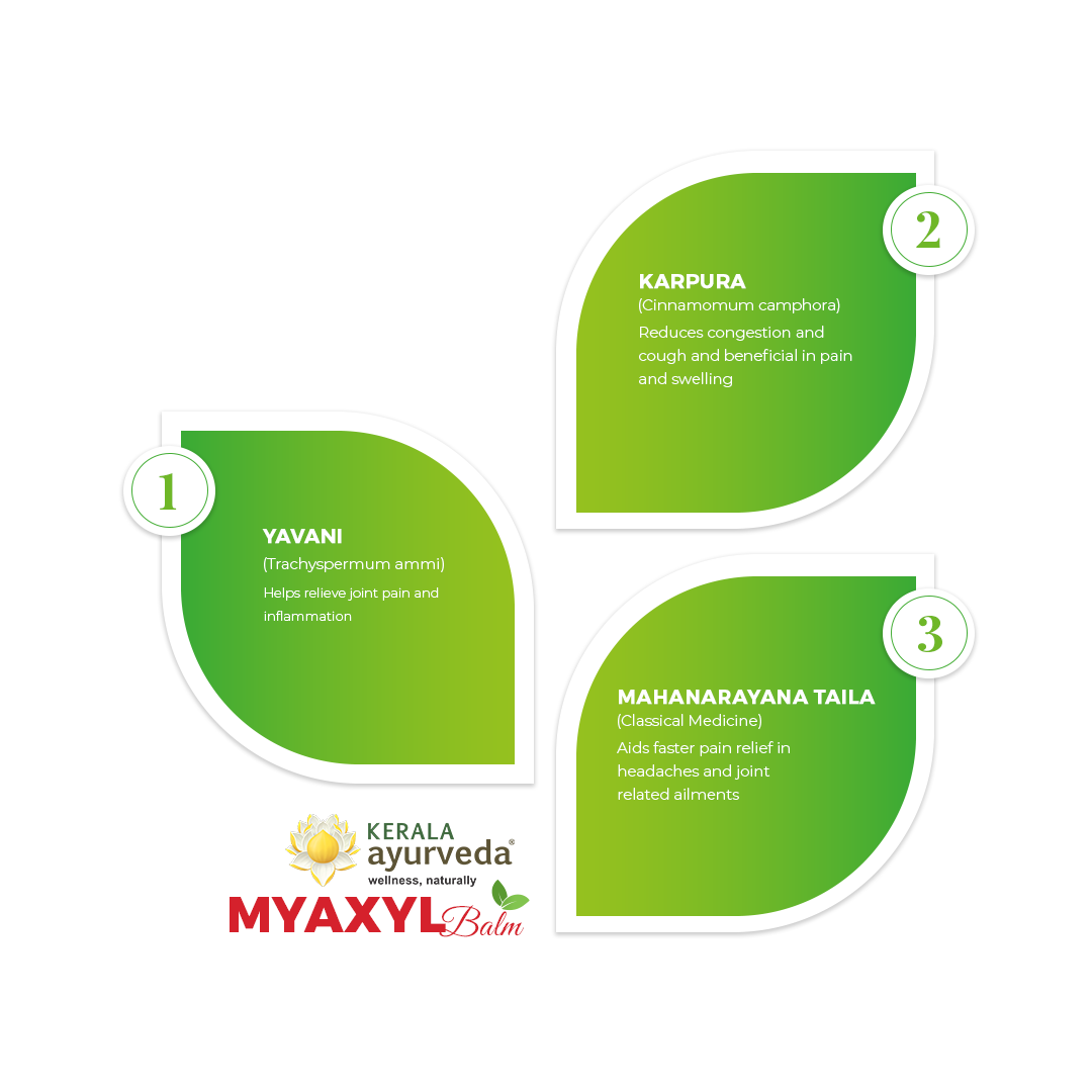 Banner illustrating key ingredients of Myaxyl Balm: Yavani, Karpura, and Mahanarayana Taila, detailing their benefits for relieving joint pain, inflammation, reducing congestion, and aiding in headaches. – Kerala Ayurveda India