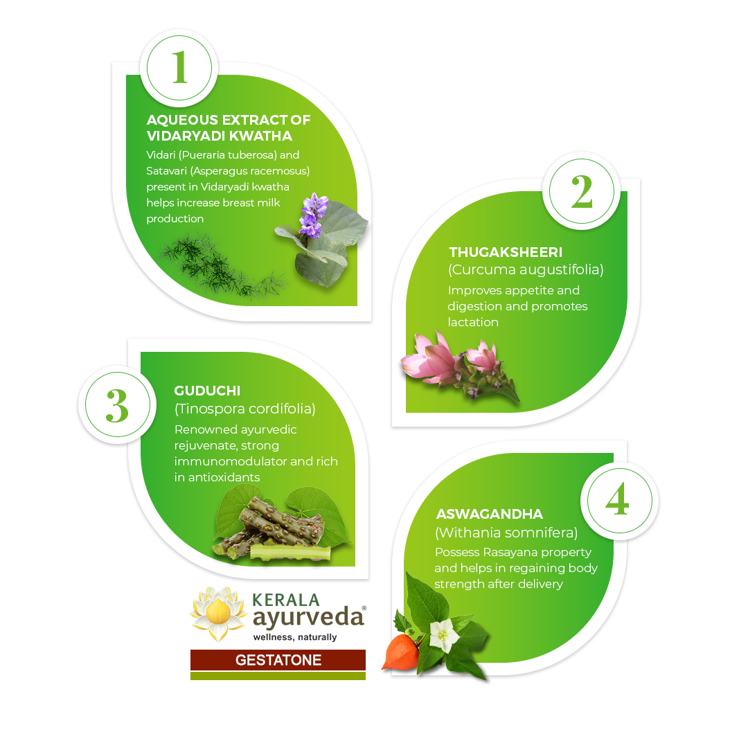 Banner illustrating key ingredients of Gestatone Lehyam: Aqueous extract of Vidaryadi Kwatha (containing Vidari and Satavari), Thugaksheeri, Guduchi, and Aswagandha, detailing their benefits for breast milk production, appetite, digestion, immunity, and regaining body strength after delivery. – Kerala Ayurveda India