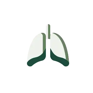 Ayurvedic roducts for Respiratory Health