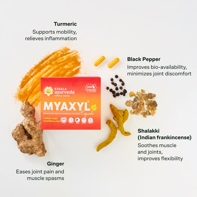 Banner highlighting key ingredients of Myaxyl Capsules: Turmeric, Black Pepper, Ginger, and Shalakkhi (Indian frankincense), with descriptions of their benefits for mobility, inflammation, pain, spasms, and bioavailability. – Kerala Ayurveda India