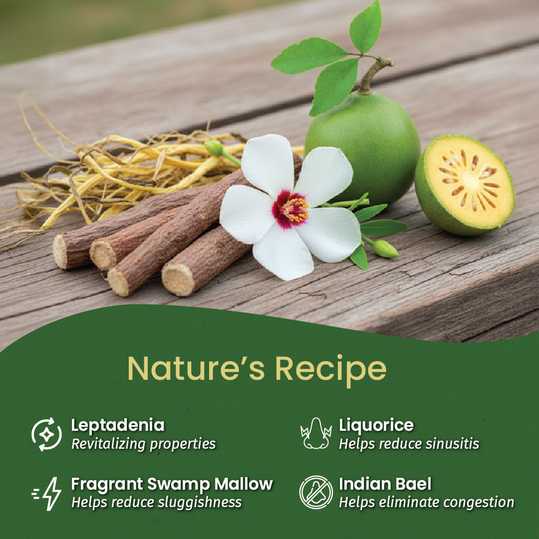 Anu Thailam (Oil - 10 Ml)