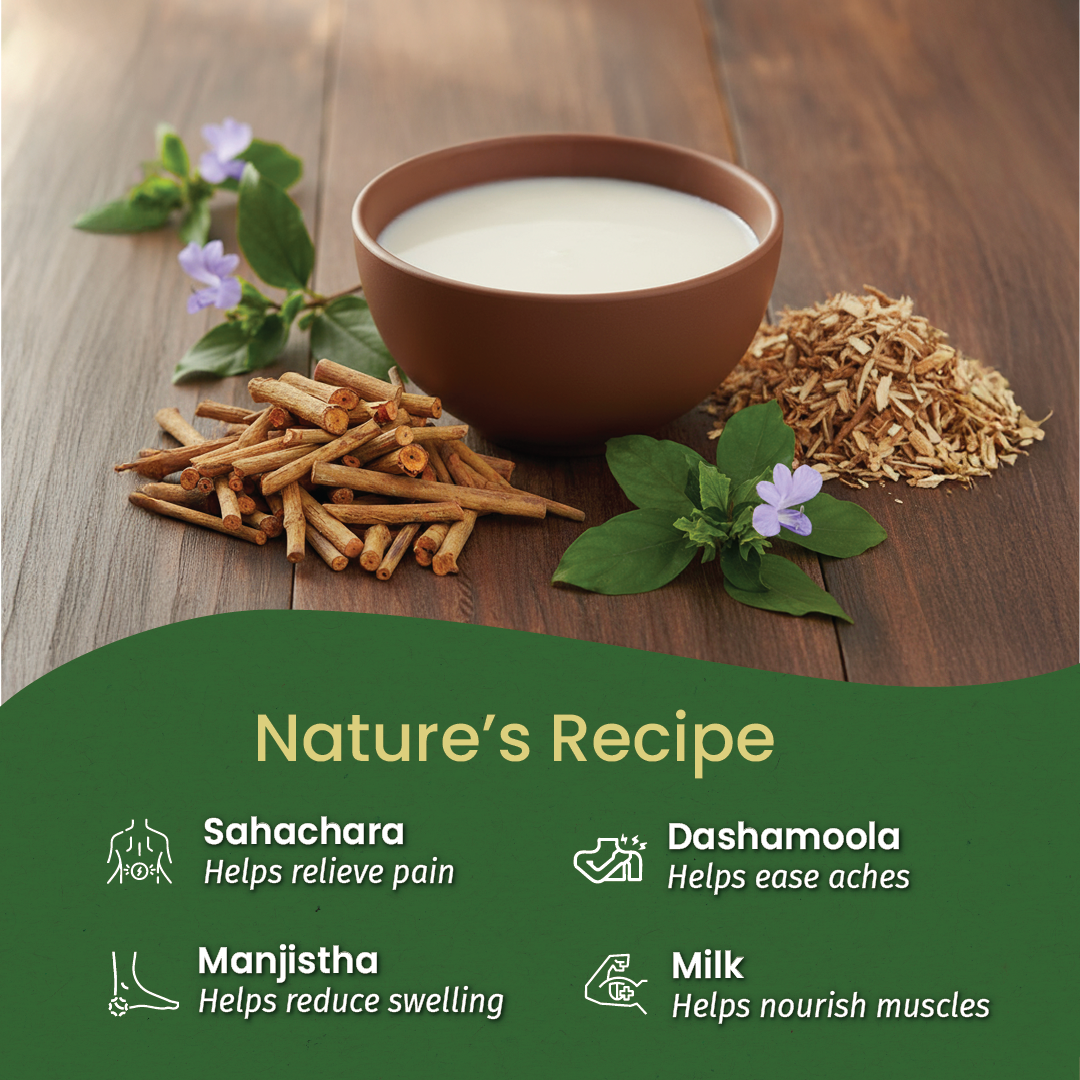 Sahacharadi Thailam (Oil)