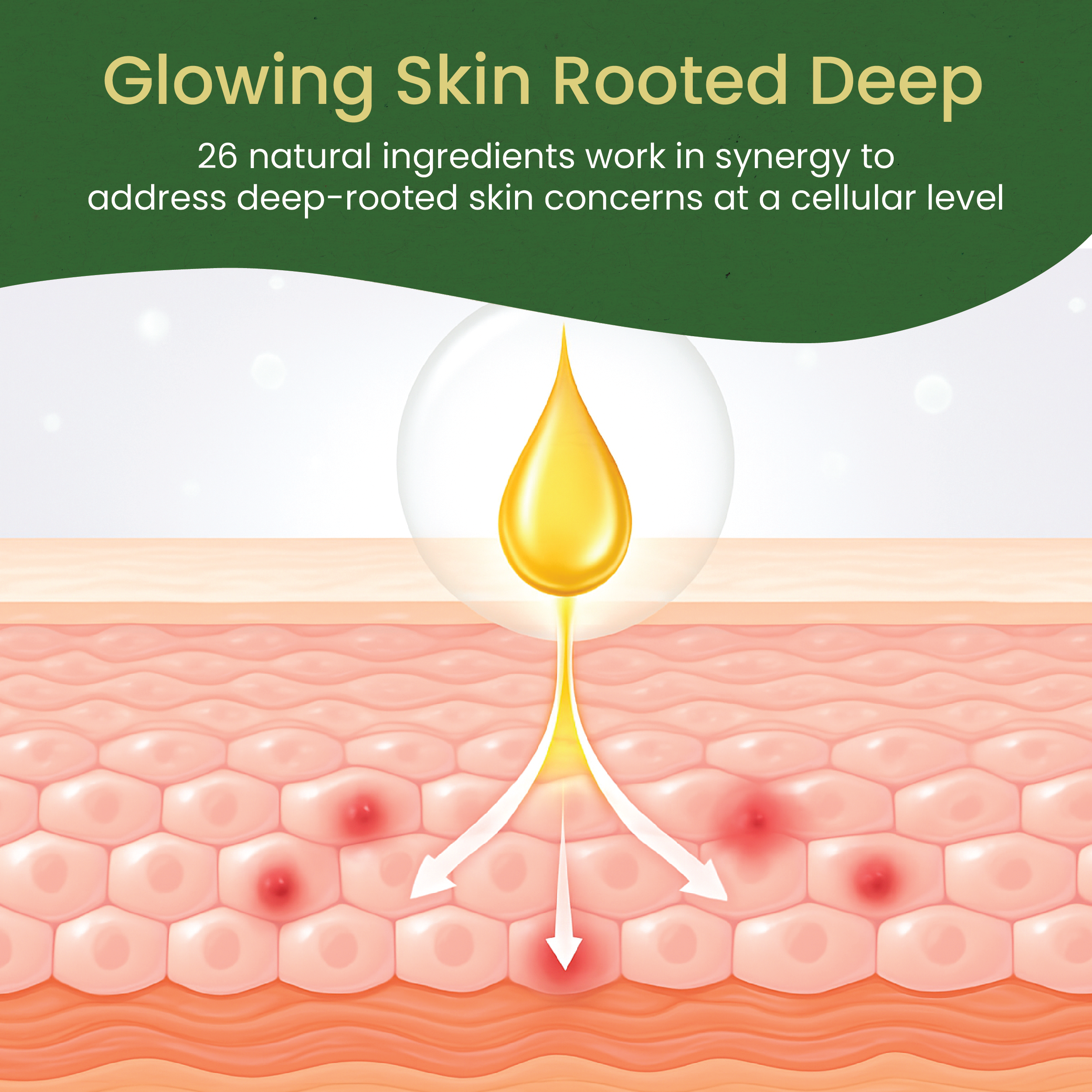 Kumkumadi Thailam (Oil)