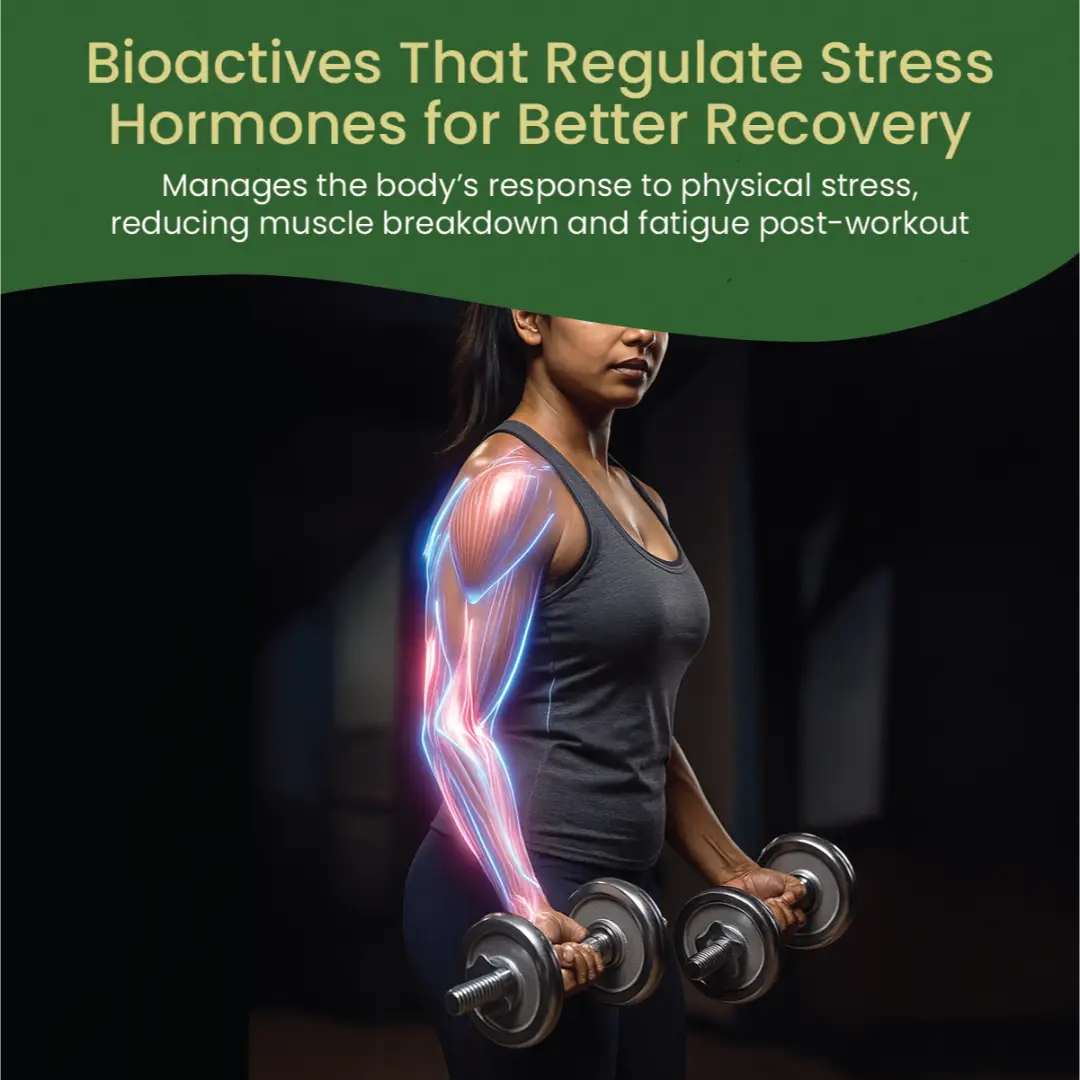 Ashwagandhadi Lehyam (500 Gms)