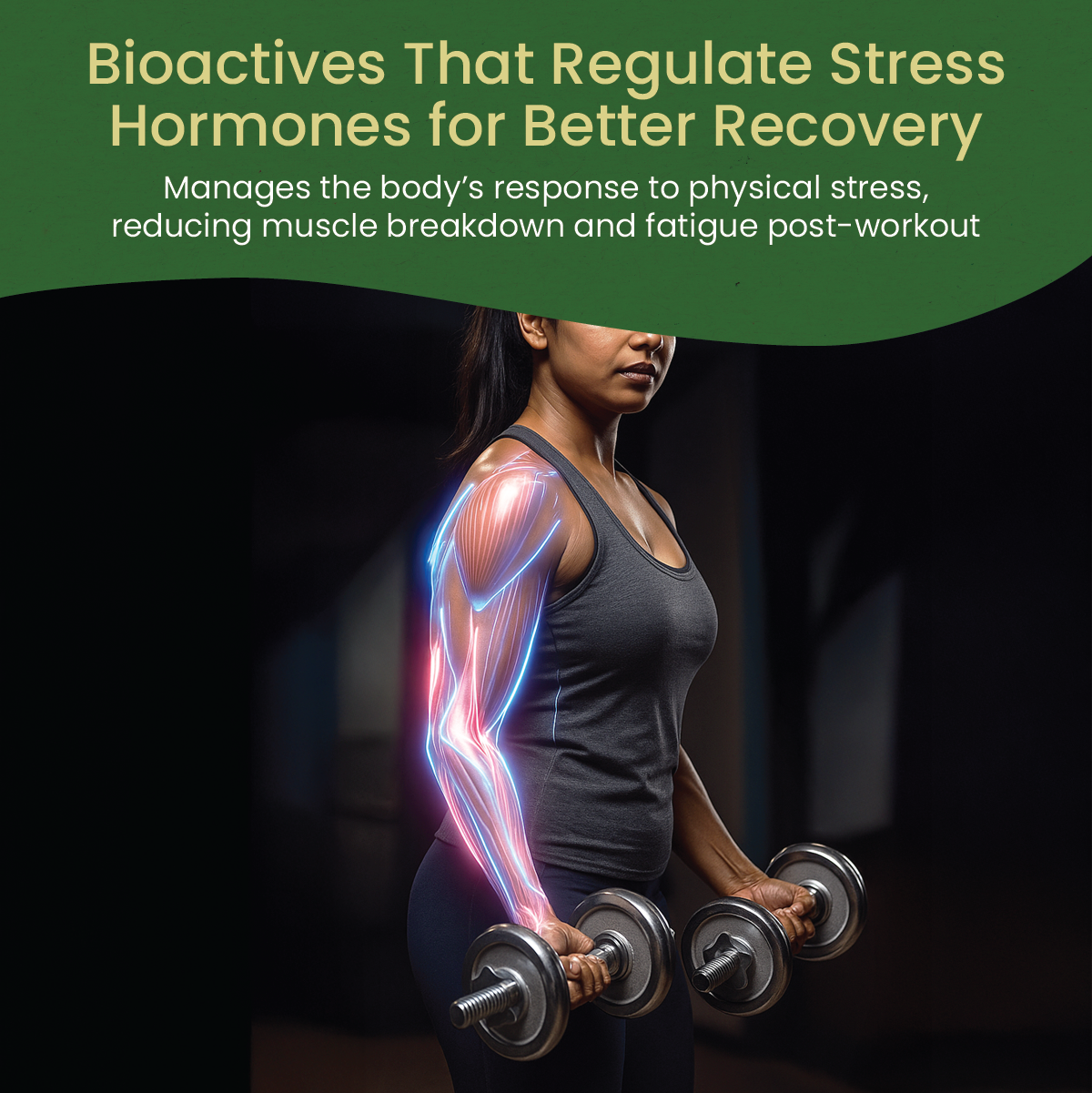 Ashwagandhadi Lehyam (500 Gms)