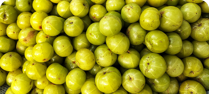 Amla