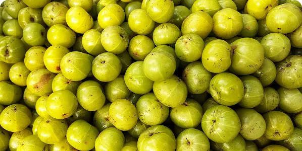 Wild Amla